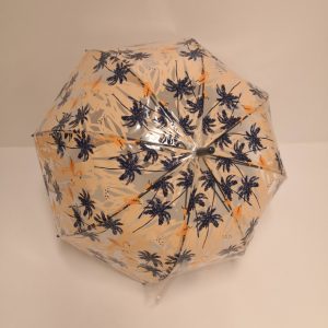 paraguas transparente huesca