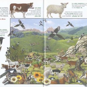 Libro Busca los animales de la granja, diviertete aprendiendo y jugando a encontrar los animales de la granja en divertidas ilustraciones