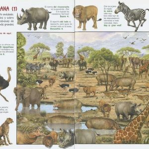 Libro educativo para niños, Busca los animales de la selva, aprende jugando las diferentes especies que habitan la selva