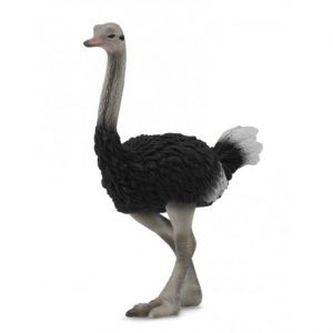 Figura avestruz pintada a mano con alto realismo y a escala para regalar a niños o para decorar el desierto de tu Belén o pesebre, Collecta 88459