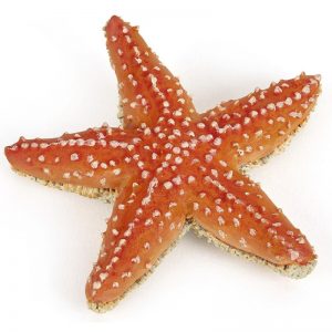 Navidad Belén, Papo 56050, Figura estrella de mar, crea escenas únicas en tu pesebre con esta fantástica estrella de mar